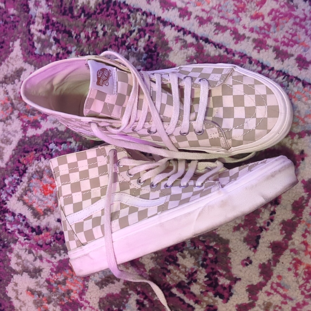 ECO THEORY SKATE HI VANS